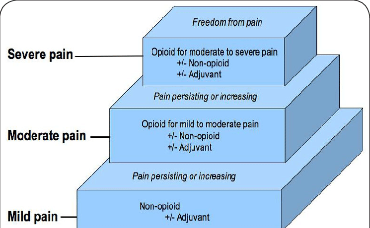 Illustration of PAIN MANAGEMENT