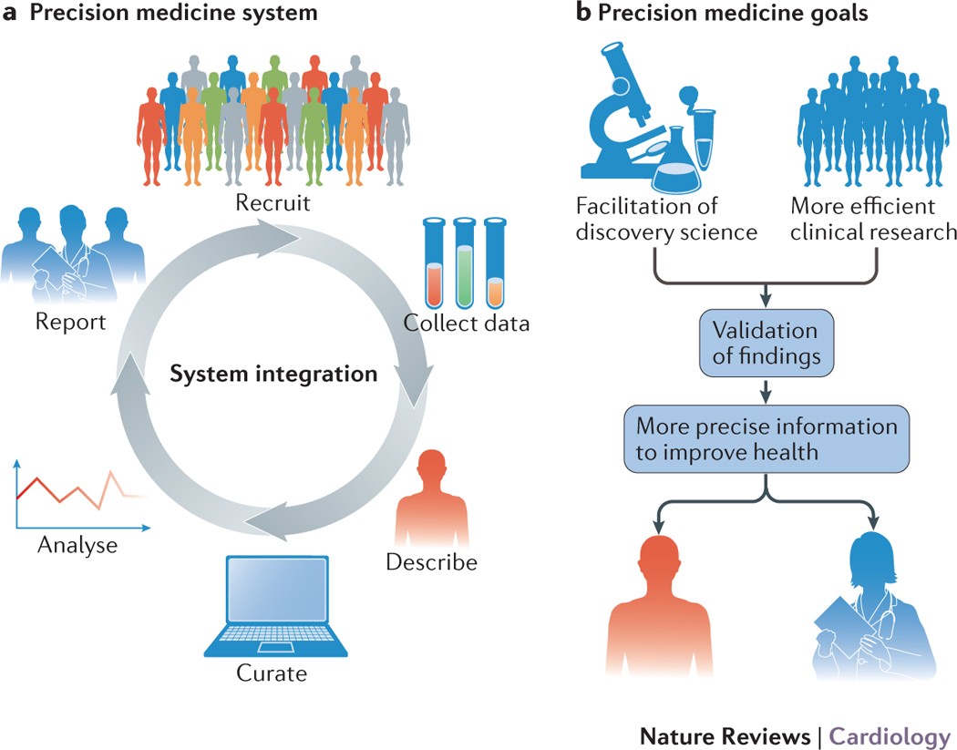Illustration of Cardiovascular Agents