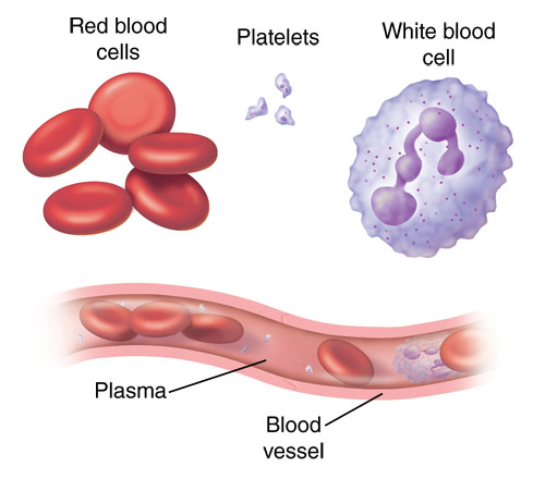 Illustration of plasma volume expander